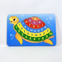 PZGS-041-My Turtle A